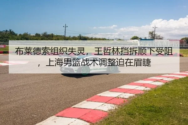 布莱德索组织失灵，王哲林挡拆顺下受阻，上海男篮战术调整迫在眉睫